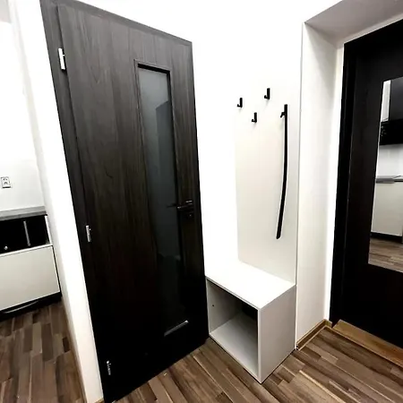 Palackeho Lobby Apartment