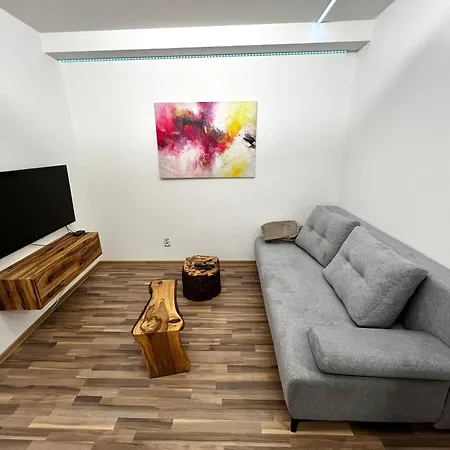Palackeho Lobby Apartment *