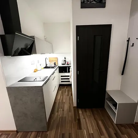 Апартаменты Palackeho Lobby *