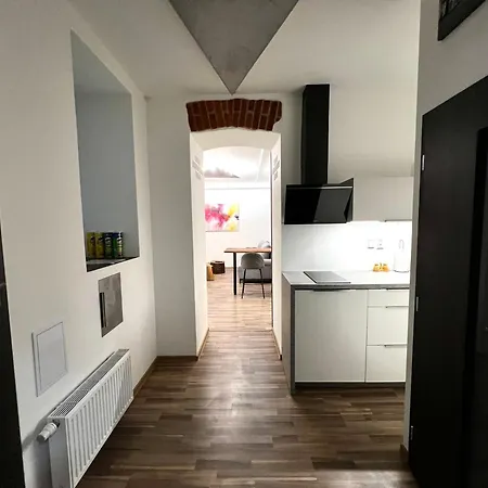 Palackeho Lobby Apartment